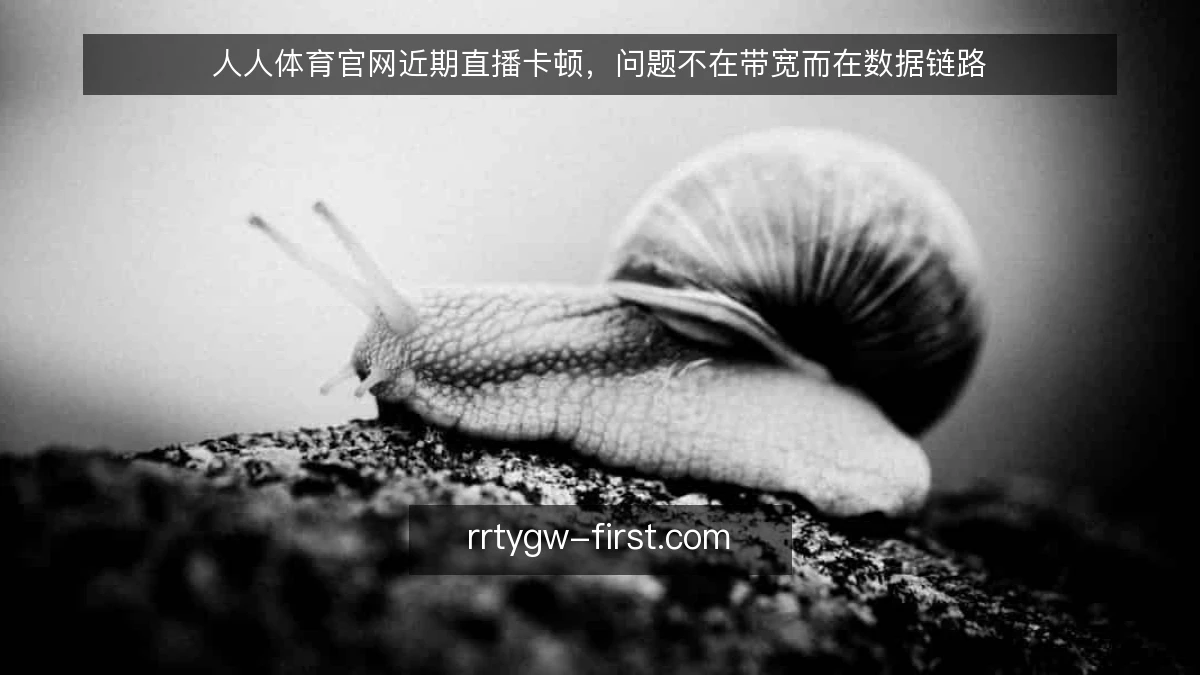 人人体育官网近期直播卡顿，问题不在带宽而在数据链路