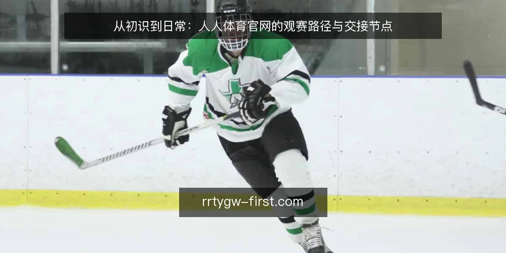 从初识到日常：人人体育官网的观赛路径与交接节点 — 起点：明确自己的观赛需求与数据偏好 配图
